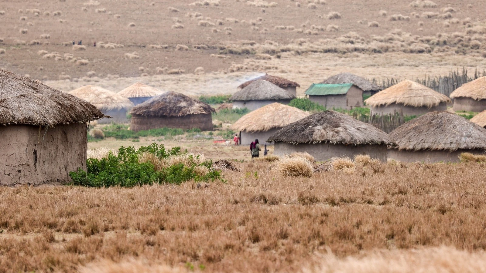 The actual residences of the pastoral communities within the Ngorongoro Conservation Area. Photo: Constantine Akitanda