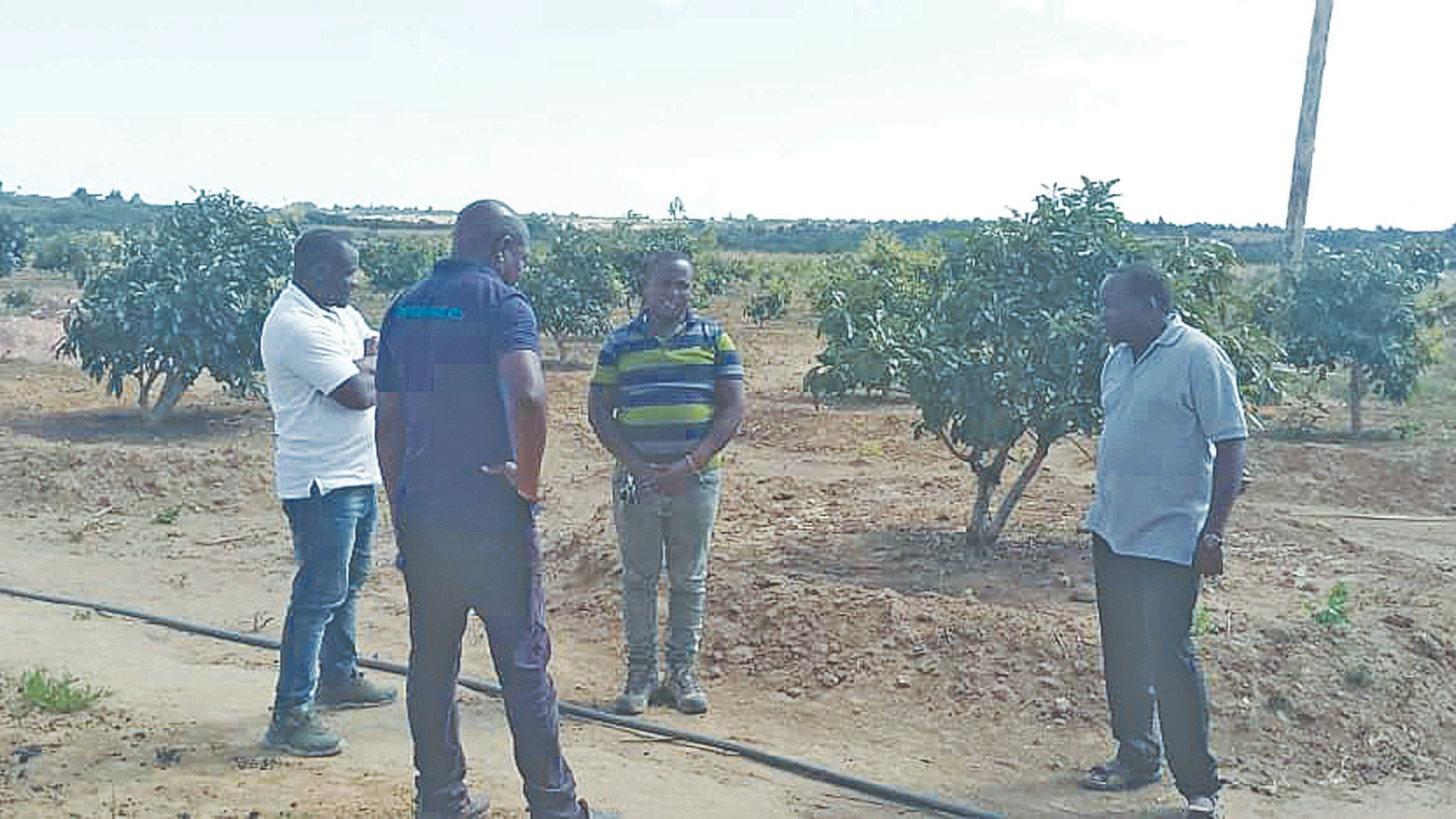  Ofisa Kilimo Mwandamizi wa Wilaya ya Mufindi, Patrick Vavunge (mwenye fulana nyeusi kushoto) na wadau wa kilimo cha parachichi, kwenye shamba darasa lililoko wilayani Mufindi.