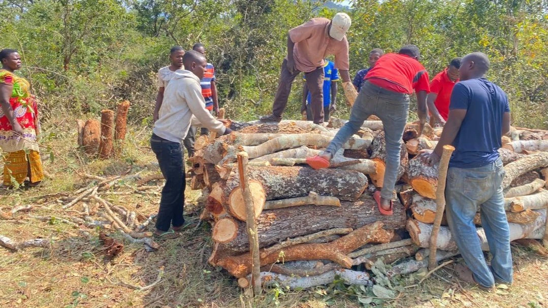 
Sustainable charcoal producers in Mapanga village prepare the Improved Basic Earth Mound Kiln (IBEK) for sustainable charcoal production.