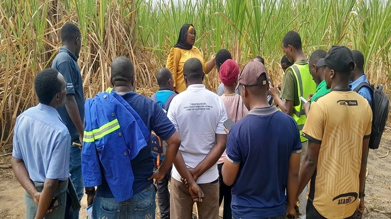 Extension officers from Kilombero district, Morogoro region, visit farm sugarcane during special training to enhance their knowledge and skills on the crop’s management. 