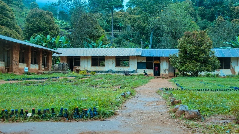 Msasa IBC Primary School is one of the six schools in Amani Division, Muheza District, Tanga Region that received the green flag award—an internationally trusted sign of good environmental practices. 