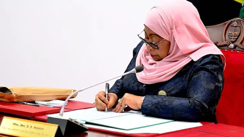 Rais Dk. Samia Suluhu Hassan.