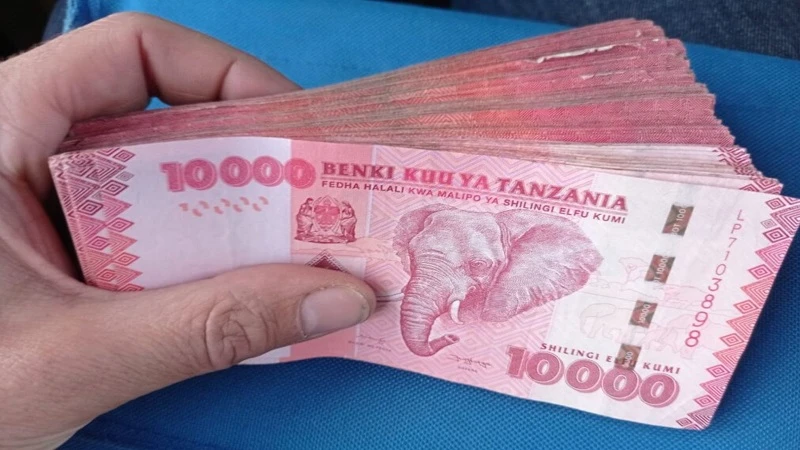 Tanzanian shillings illustration