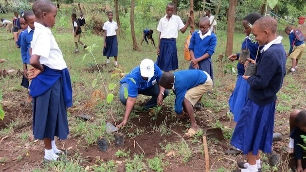 Mtoni Primary School pupils plant trees; this project has become central to the region’s contribution to climate change mitigation. 

 