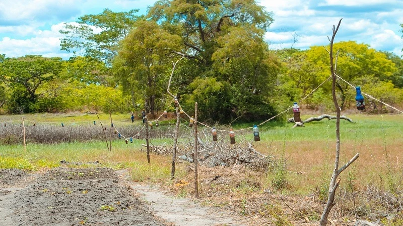 One of the smelly repellent fence at Mtawango village in Liwale District, Lindi Region.