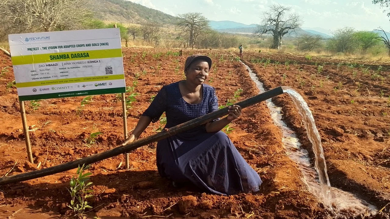 
Pendo Lameck, the secretary of the Seluka Irrigators Organisation in Mpwapwa district irrigates the demo plots establish by AMDT at the useful agribusiness project.