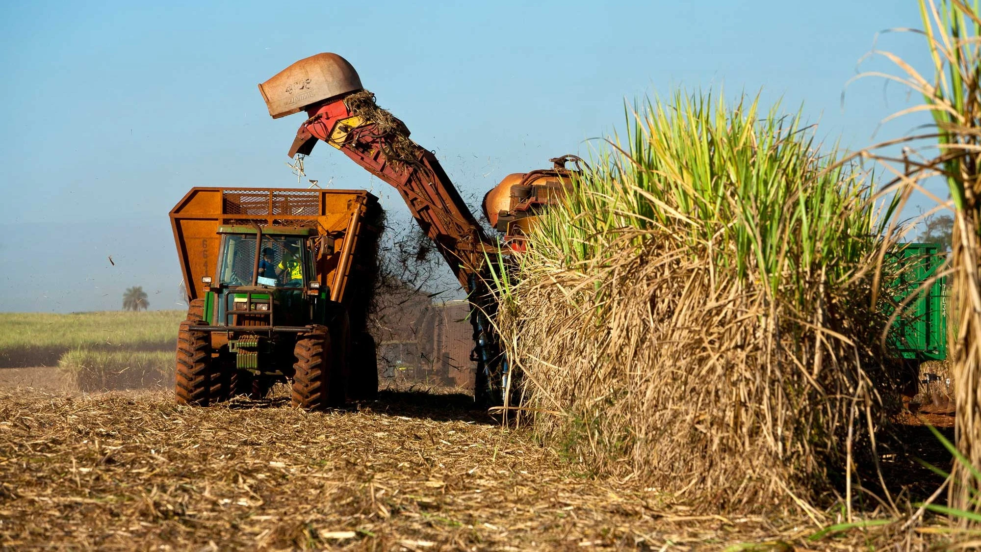 An urgent call for extending the current sugar tax moratorium was articulated by Advocate Fay Mukaddam, chairperson of the South African Sugar Association.