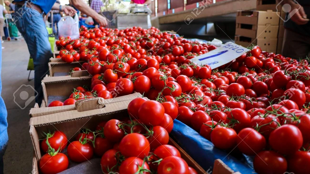 Tomatoes