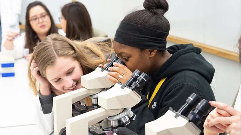 Girls in science