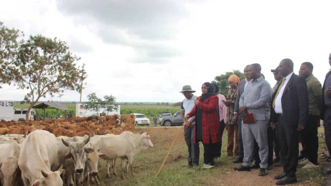 Waziri Dk. Kijaji atoa agizo NARCO kuongeza uzalishaji mbegu bora za mifugo.