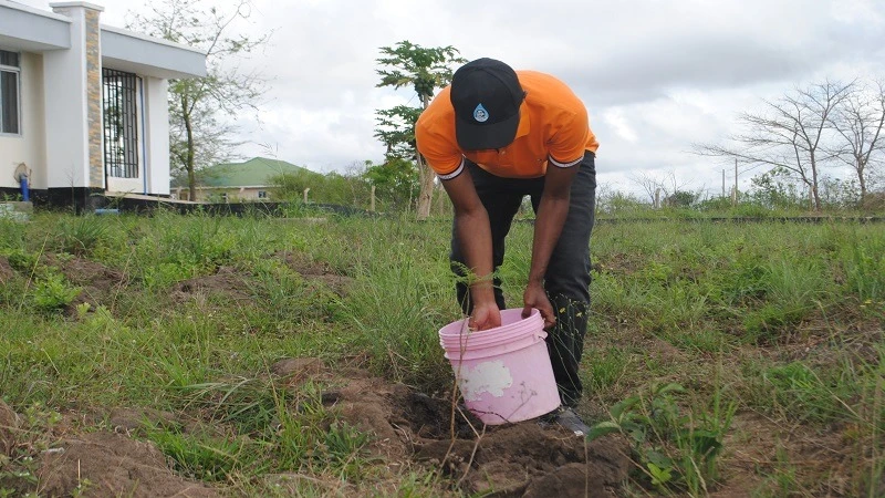 
Handeni District Commissioner Albert Msando, waters a seedling after planting.  