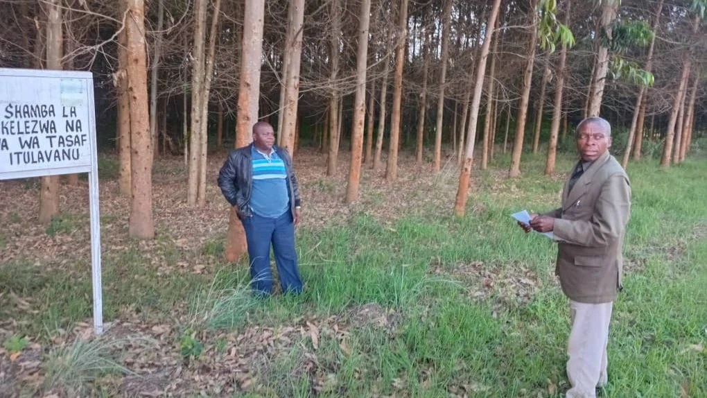 Daudi Chafu, Itulavanu Village Executive Officer (right) take journalists on a straw through one of the village’s tree plantation farms. Looking on is Revocatus Mgaya, TASAF Mufindi District Coordinator.