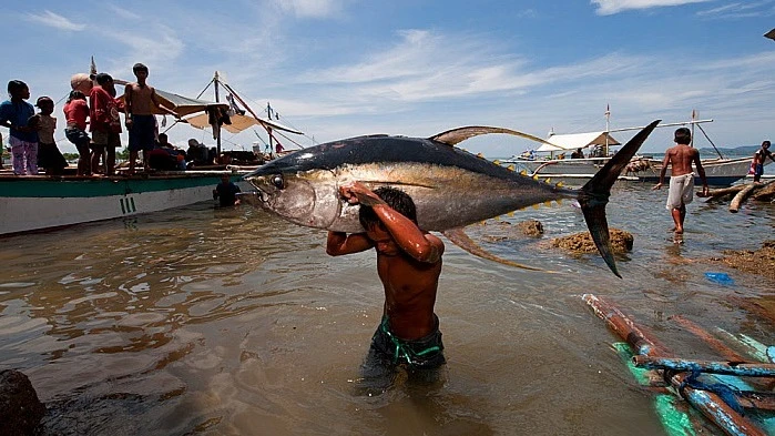 FAO’s State of World Fisheries and Aquaculture 2024 report ranks Tanzania among five of the top 10 freshwater fish producers.