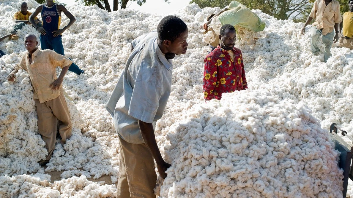 With fewer farmers producing more and reaching high-value markets, Tanzania can achieve a thriving agricultural sector

 

 
With fewer farmers producing more and reaching high-value markets, Tanzania can achieve a thriving agricultural sector
