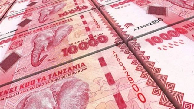 Tanzanian currency