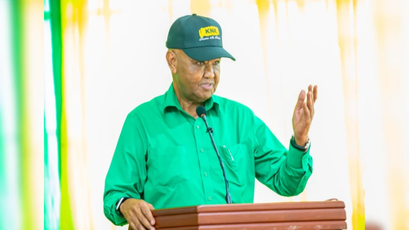 Aliyekuwa Makamu Mwenyekiti wa Chama cha Mapinduzi (CCM)-Bara, Abdulrahman Kinana.