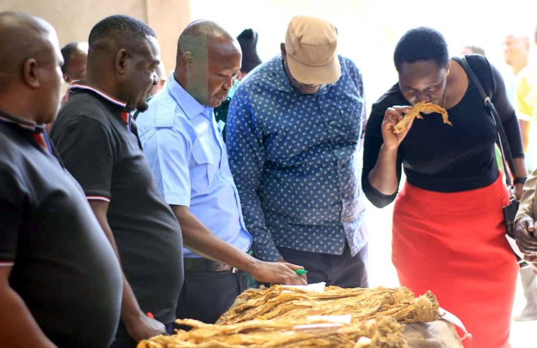 Serengeti District Administrative Secretary, Anjelina Marko (R), inspects tobacco leaves during the opening of a tobacco auction, officiated by the district’s Executive Director, Dr. Maulid Madeni (2nd R) in Mugumu earlier this week. 