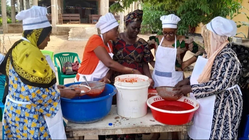 
Experts from the Tanzania Agricultural Research Institute (TARI) Kibaha center and the Small Industries Development Organization (SIDO) during a workshop to train tomatoes farmers in Kilosa district, Morogoro region on tomato processing.