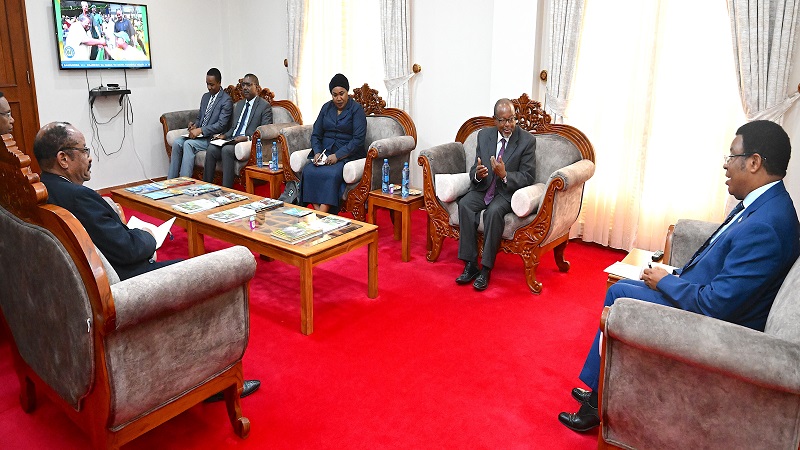 Prime Minister Kassim Majaliwa speaks with members of the Presidential Tax Reforms Commission at his office in Dodoma yesterday. Second (R) is the Commission Chairman Ambassador Ombeni Sefue. 