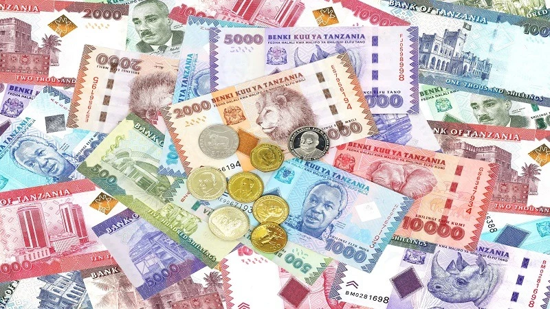 Tanzanian currency illustration