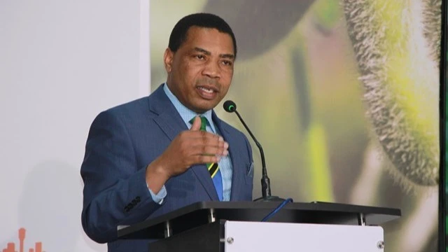 Finance Minister Dr. Mwigulu Nchemba 