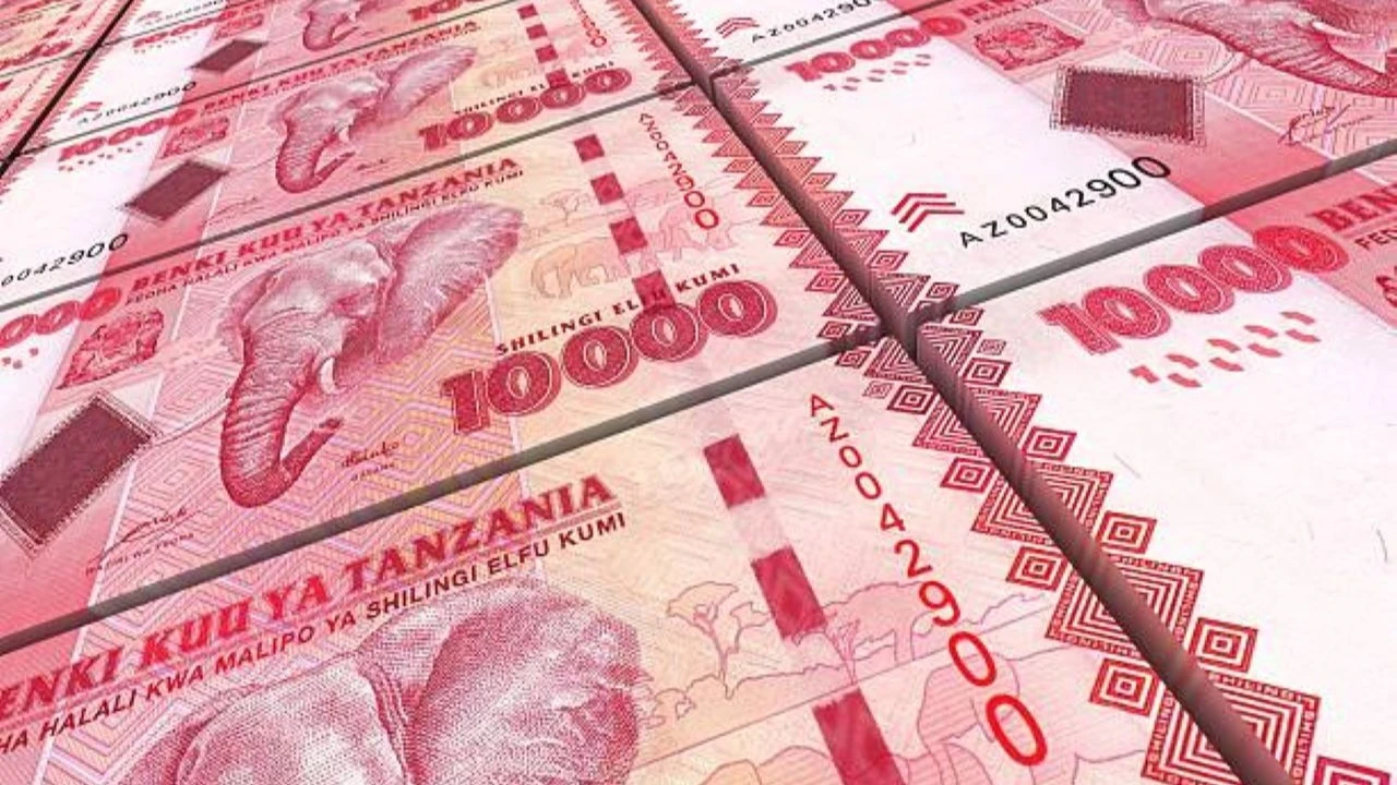 Tanzanian Currency