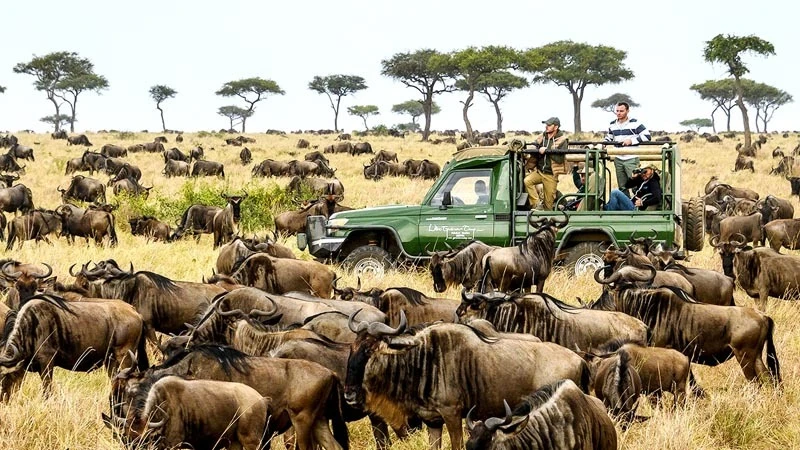 In 2025, Africa’s top travel destinations will spotlight eco-tourism, with countries like Kenya and Tanzania leading in sustainable safari experiences.