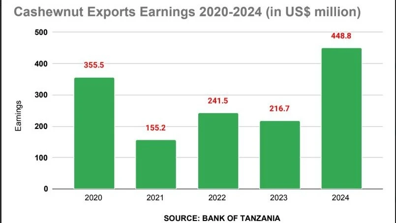 The increase of exports earnings from the crop, currently mostly grown in Mtwara, Ruvuma, Lindi and Pwani, resulted from an increase of production and global demands, which stimulated the commodity price.