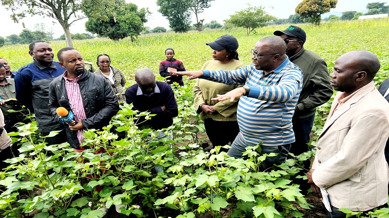 Shinyanga Regional Commissioner Anamringi Macha (2nd R) speaks with some cotton farmers at Kisuke village in Ushetu, Kahama District on Thursday, while inspecting cotton farming in the area. 