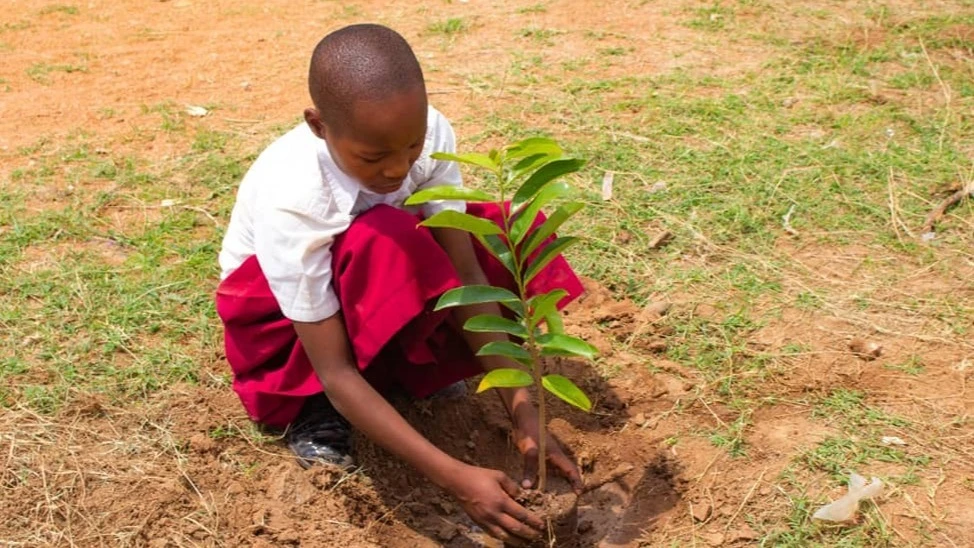 
Educating young children on climate change imparts a sense of responsibility and environmental stewardship that can last a lifetime. 