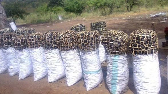 Sacks of charcoal displayed for sale in Dar es Salaam city. 