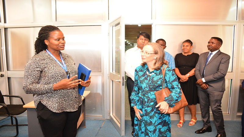 Nipashe newspaper news editor and TGL digital section head Salome Kitomari briefs the envoy on the operations she oversees. 