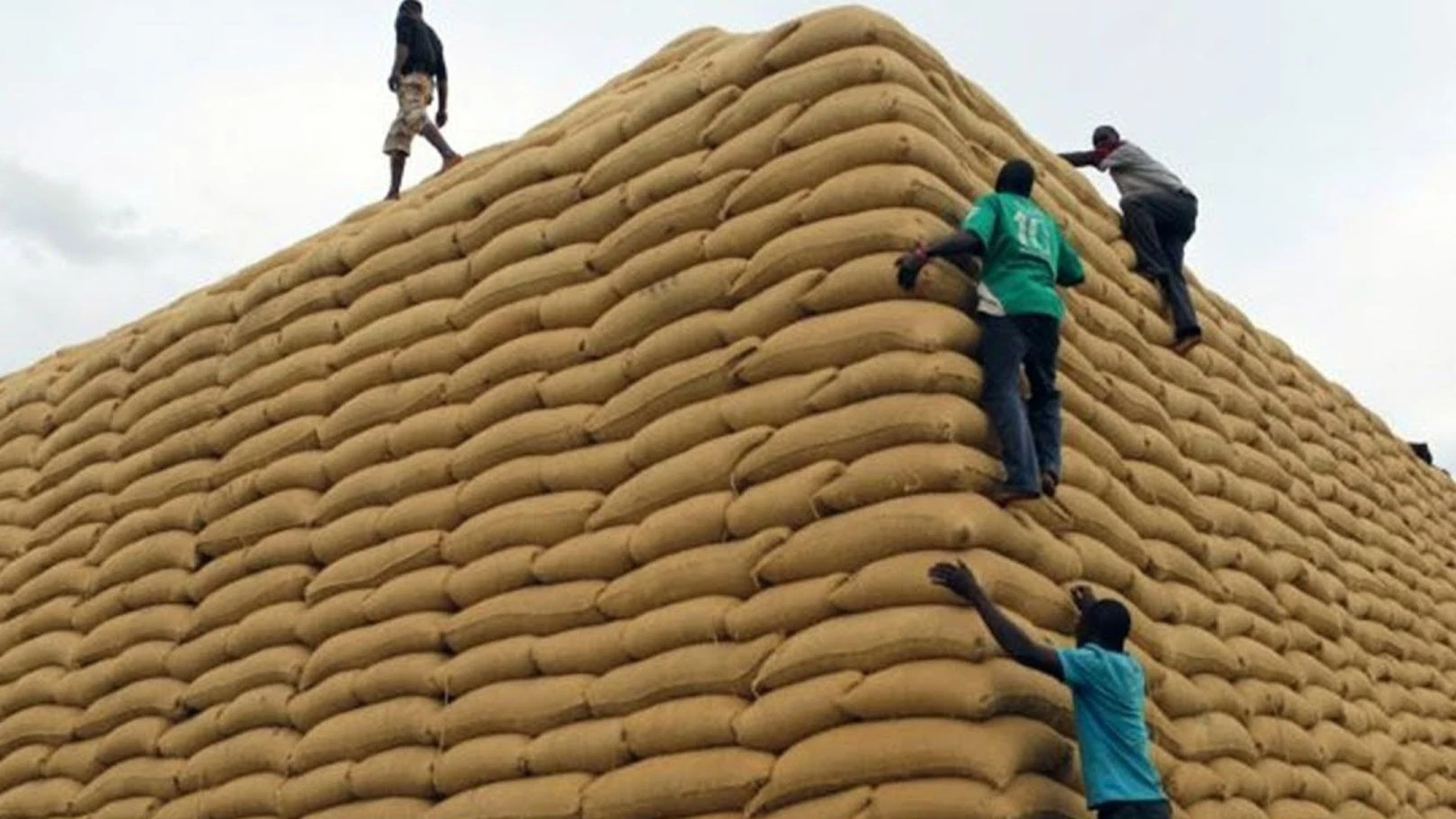 To ensure that smallholder farmers benefit from agriculture in overcoming economic challenges, NFRA has fully committed itself to finding markets for the grain.