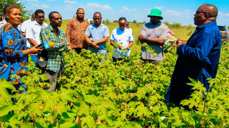 Mkuu wa Mkoa wa Shinyanga Anamringi Macha akiwa katika mashamba ya wakulima wa pamba akizungumza na wakulima na kuhamasisha kilimo cha kisasa.