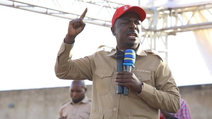 MAKAMU Mwenyekiti wa Chama cha Demokrasia na Maendeleo (CHADEMA) bara, John Heche