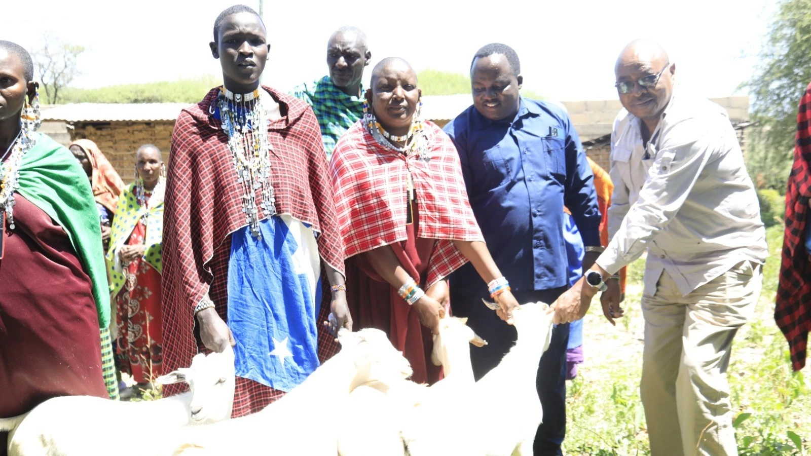 Prof. Noah Sitati, Msimamizi wa Mradi wa SOKNOT chini ya WWF, akikabidhi mbuzi wa unenepeshaji kwa Mwenyekiti wa vikundi vya wafugaji katika Kijiji cha Lumbwa, Longido, Arusha.