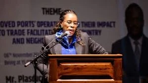 The committee recommended that the government strengthens ward and local security committees by equipping chairpersons and local government executives with registers of all foreigners and tenants in their areas.