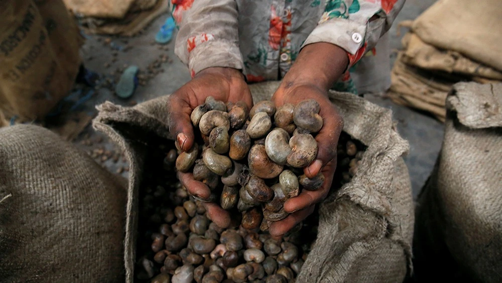 Mwisho wa kuuza korosho ghafi umefika