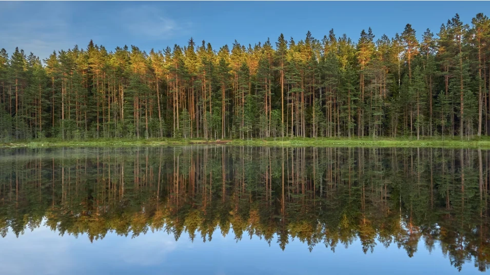 Forests vital for Ruvu River catchment zone to uplift Dar water flow prospects