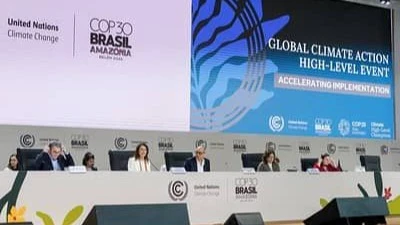 COP29-COP30: Ushiriki wa wanawake na hatima ya mapambano ya tabianchi