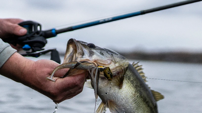 Fish shortages due to sea winds  showed sector’s soft underbelly 