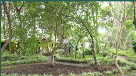 National Museum welcomes 200 cruise ship tourists