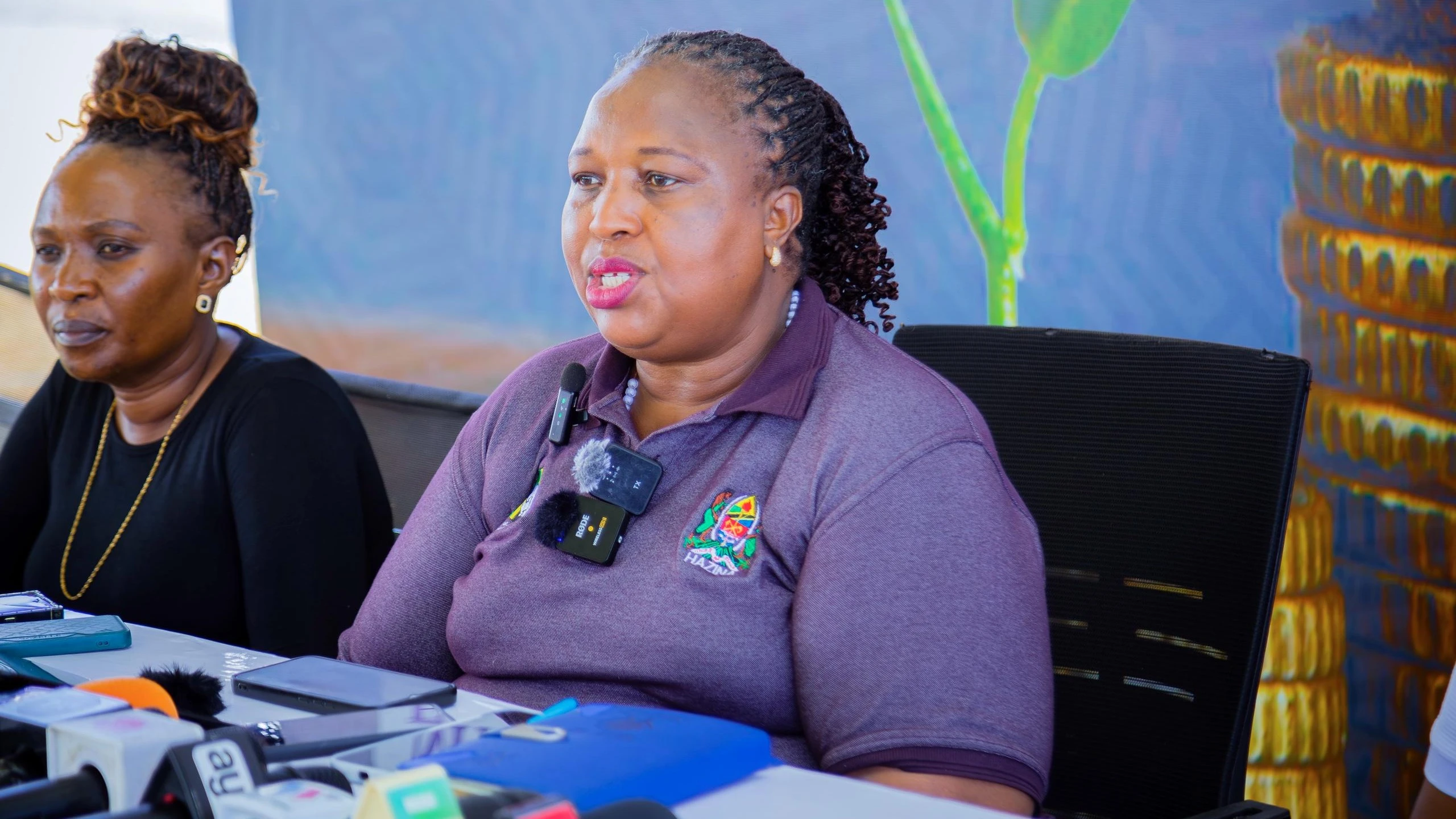  Kaimu Kamishna wa Idara ya Uendelezaji wa Sekta ya Fedha, Dionisia Mjema.