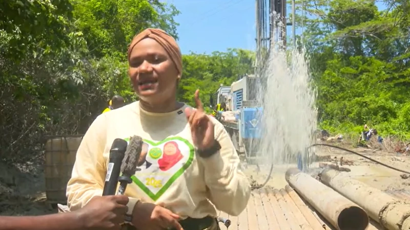 Mkuu wa Wilaya ya Lindi, Victoria Mwanziva.