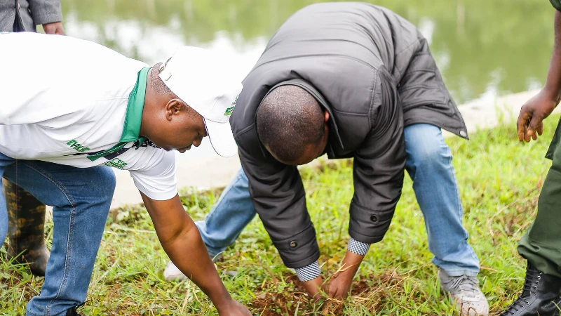 Njombe yapanda miti  kuhifadhi vyanzo