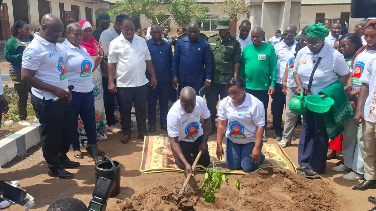 Dar yapanda miti kumbukizi  ‘birthday’ ya Samia