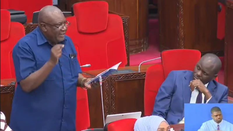 
Mbunge wa Mwibara Kangi Lugola