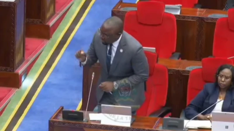 Mbunge wa Makete (CCM), Festo Sanga.