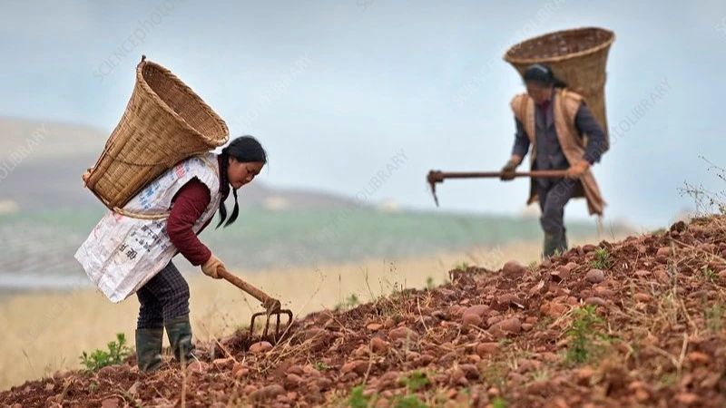 Tanzania’s future will be built in homes and in the capacity of women and men to collaborate rather than retreat into parallel struggles