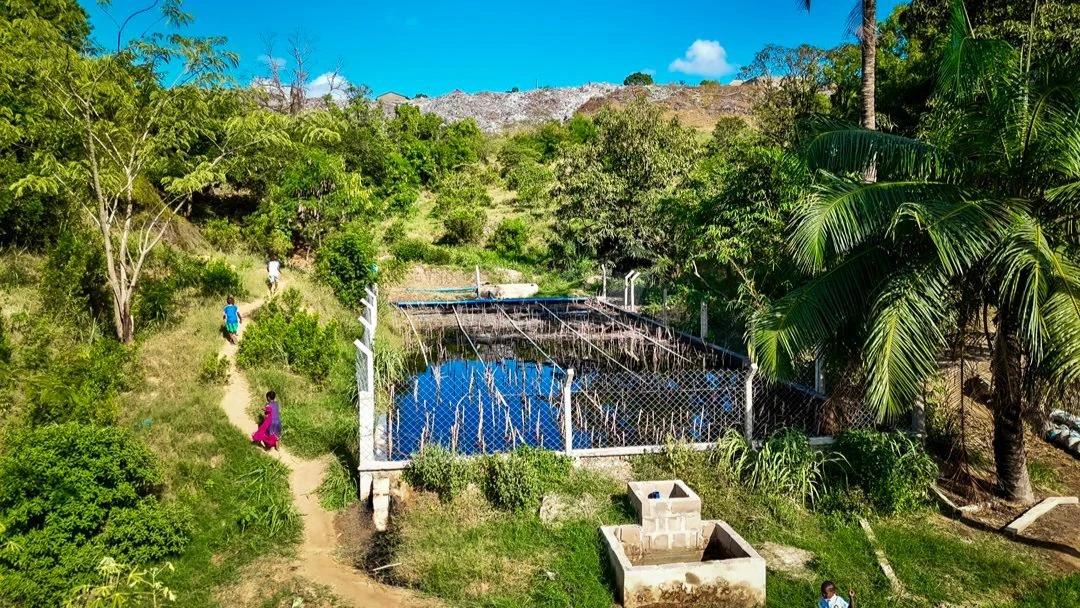 Artificial wetlands are designed to filter and remove contaminants from water using natural processes